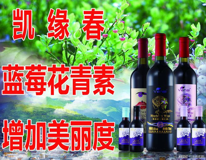 凱緣春藍莓酒搶灘海南自貿(mào)港 酒業(yè)進出口新機遇與市場布局