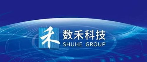 堅持科技向善，數(shù)禾科技以數(shù)字技術(shù)服務(wù)尋求金融服務(wù)最優(yōu)解